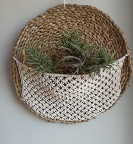 Colgante plantas SUGEY